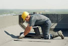 Best Roof Leak Repair  in Cobden, IL